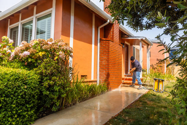 Best Roof Power Washing Services  in , IN