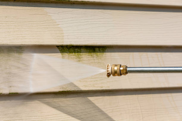 Best Local Pressure Washing Services  in , IN